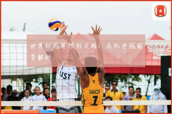 世界杯冠军预测之路:各队夺冠前景解析