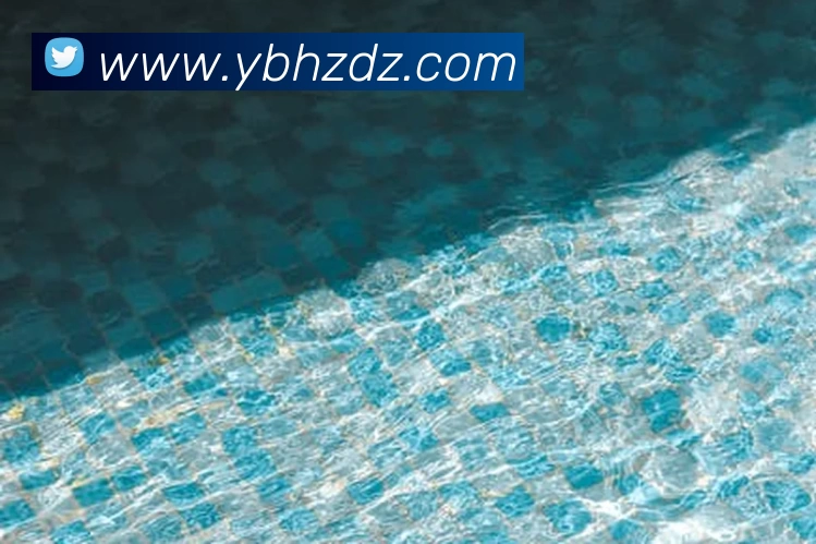 玩滚球的安全平台app官网平台生态图