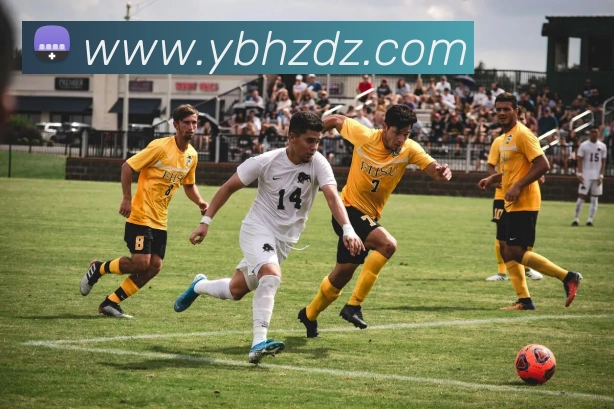 电竞数据